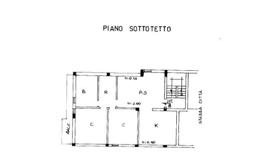 immagine annuncio 12 di 14