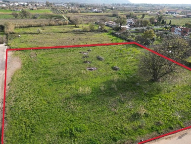 Foto Terreno edificabile in via umberto I, Cellole di 5000 m² in vendita