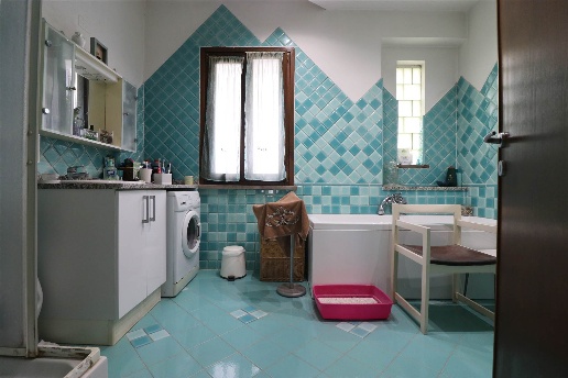 immagine annuncio 8 di 14