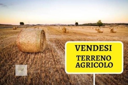 Foto Terreno agricolo a Calenzano di 4600 m² in vendita