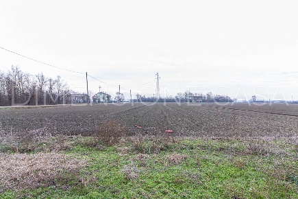 Foto Terreno agricolo a Camposanto di 54365 m² in vendita