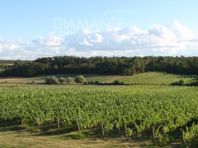 Foto Terreno agricolo a Castiglione del Lago Contrada Prati in vendita