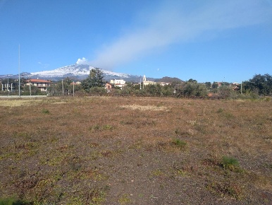 Foto Terreno agricolo a Mascalucia Centro di 10038 m² in vendita