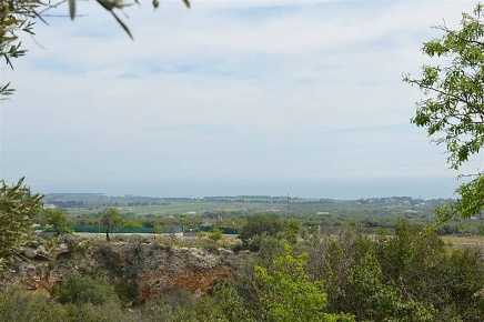 Foto Terreno agricolo in teste mozze, Noto di 16000 m² in vendita
