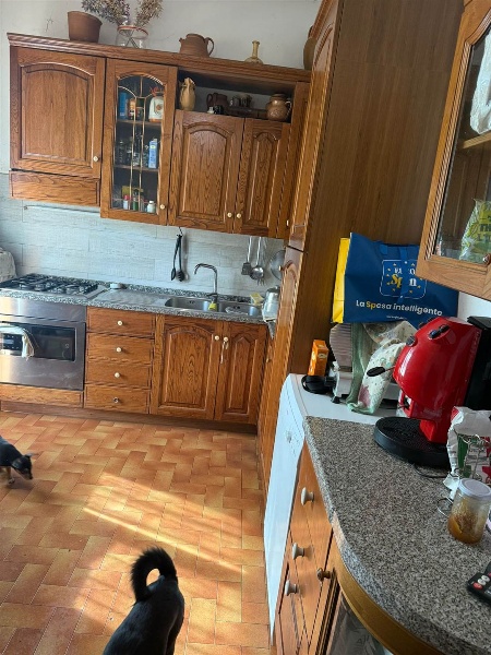 immagine annuncio 5 di 12