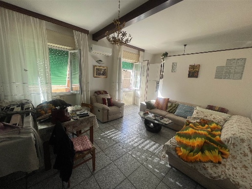 immagine annuncio 1 di 14