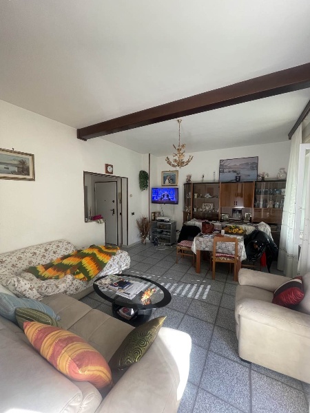 immagine annuncio 2 di 14