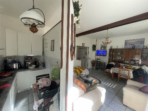 immagine annuncio 4 di 14