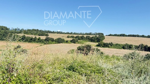 Foto Terreno agricolo a Acquapendente Centro in vendita