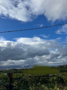 Foto Terreno agricolo a Bagheria Campagnone di 10000 m² in vendita