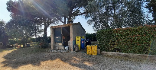 immagine annuncio 5 di 9