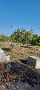 Foto Terreno agricolo a Acireale Pennisi, Santa Maria Ammalati, Piano d'Api