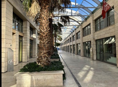 Foto Attività commerciale a Pisa Porta Nuova - Ingegneria di 360 m²
