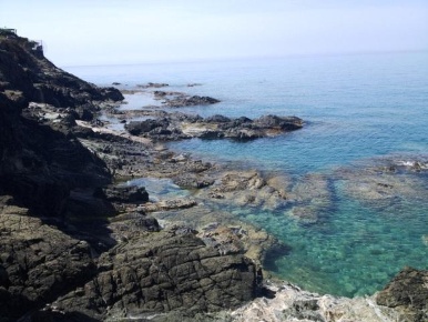 Foto Appartamento a Rosignano Marittimo Castiglioncello di 80 m² in vendita