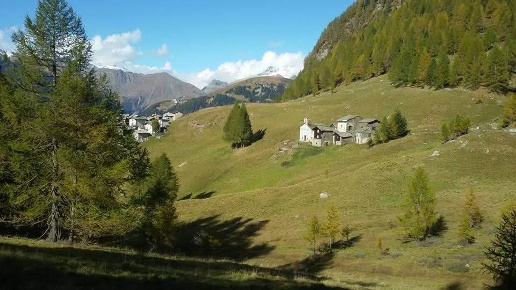 immagine annuncio 3 di 13