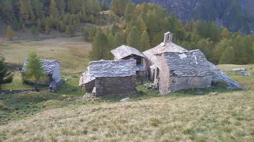 immagine annuncio 11 di 13