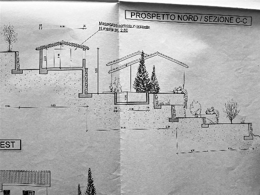 immagine annuncio 4 di 12