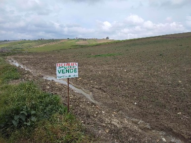 Foto Terreno agricolo a Naro di 16250 m² in vendita