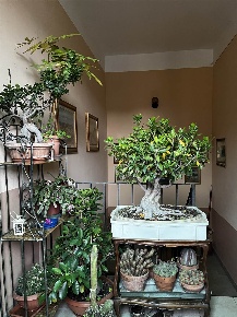 Foto Appartamento a Vigevano Semicentro di 80 m² con 4 locali in vendita