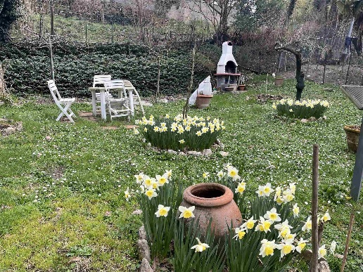 immagine annuncio 7 di 11