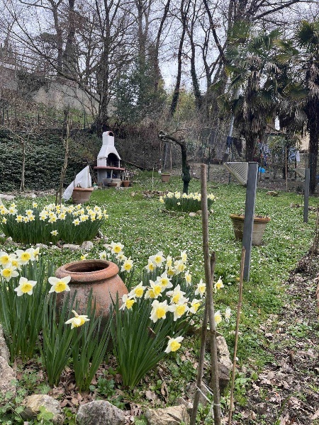 immagine annuncio 8 di 11