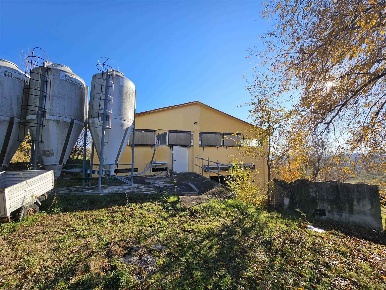 Foto Terreno agricolo a San Severino Marche Centro di 950 m² in vendita