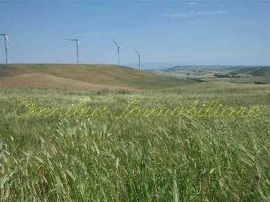 Foto Terreno agricolo in Contrada Berardinone, Lucera di 62000 m²