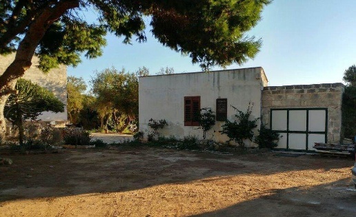 immagine annuncio 8 di 13