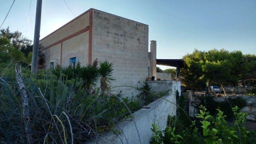 immagine annuncio 11 di 13