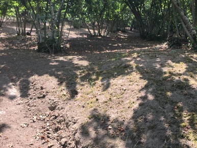 Foto Appartamento a Avellino di 8000 m² in vendita