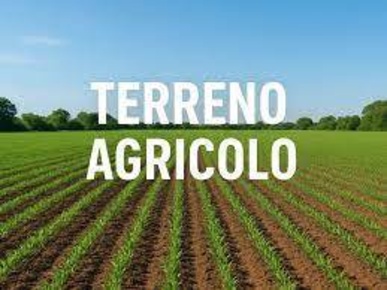 Foto Terreno agricolo a San Possidonio Centro di 40490 m² in vendita