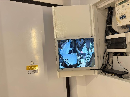 immagine annuncio 2 di 12