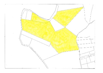 Foto Terreno agricolo in C.DA OSSENA, Lentini di 37085 m² in vendita