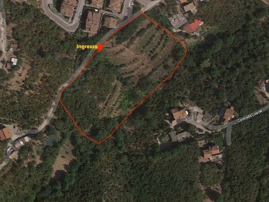 Foto Appartamento a Avellino di 17000 m² in vendita