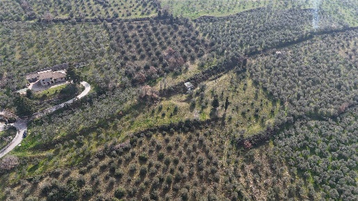 Foto Terreno agricolo in Via Toscana, Trevi di 25 m² in vendita