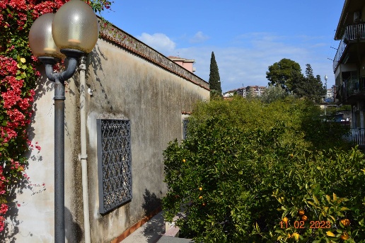 immagine annuncio 2 di 8