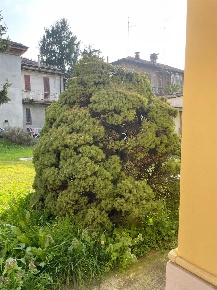 Foto Appartamento a Piacenza Dante - Cheope di 110 m² con 3 locali