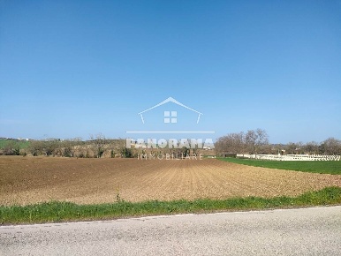 Foto Terreno agricolo a Coriano di 7500 m² in vendita