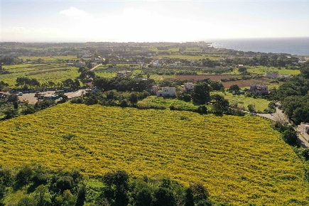 Foto Terreno edificabile in Strada Punta Marsala, Favignana di 19343 m²