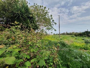 Foto Magazzino a Siracusa Isola di 463 m² in vendita