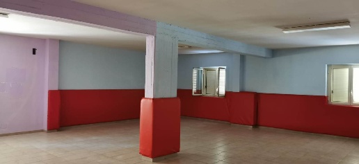 immagine annuncio 12 di 14