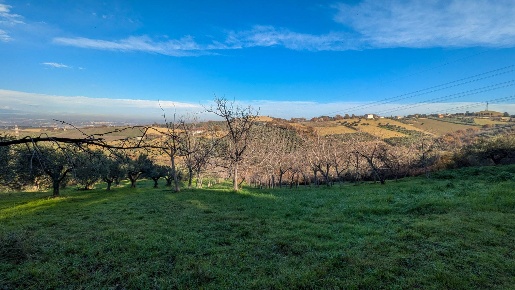 Foto Terreno agricolo in via per brecciarola, Casalincontrada di 20000 m²