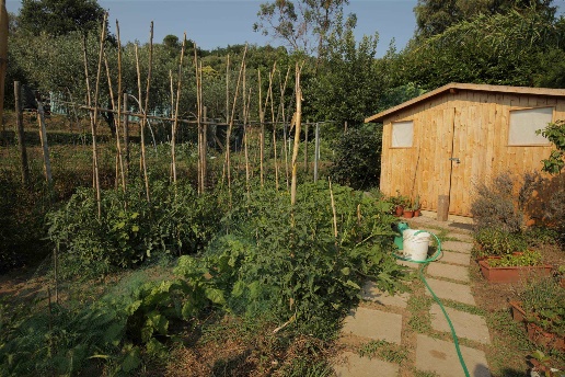 immagine annuncio 13 di 14