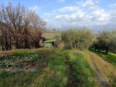 Foto Terreno agricolo a Poggio a Caiano di 7000 m² in vendita