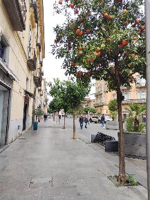 Foto Negozio a Cava de' Tirreni Centro di 70 m² con 2 locali in affitto