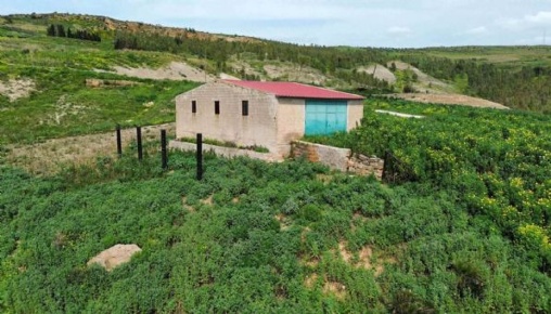 Foto Terreno agricolo in Contrada Belmonte, Ribera di 15763 m² in vendita