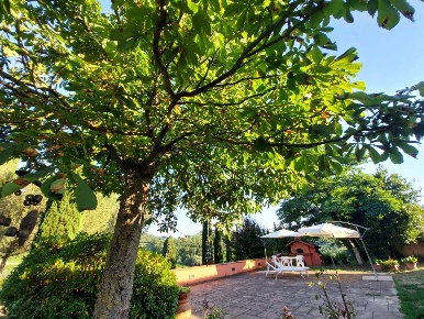 Foto Villa unifamiliare a San Casciano in Val di Pesa Romola di 200 m²