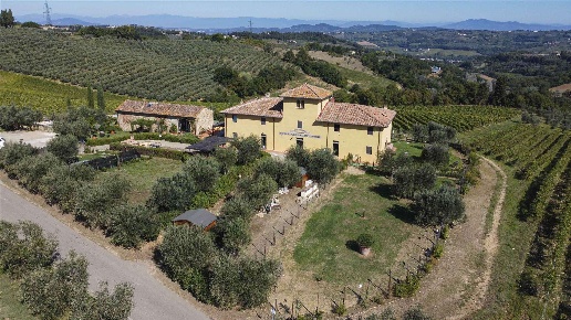 immagine annuncio 11 di 14