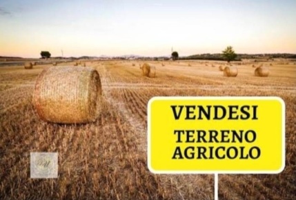 Foto Terreno agricolo a Prato San Giusto di 1000 m² in vendita