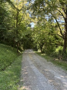 Foto Rustico a Vezzano sul Crostolo di 300 m² con 11 locali in vendita